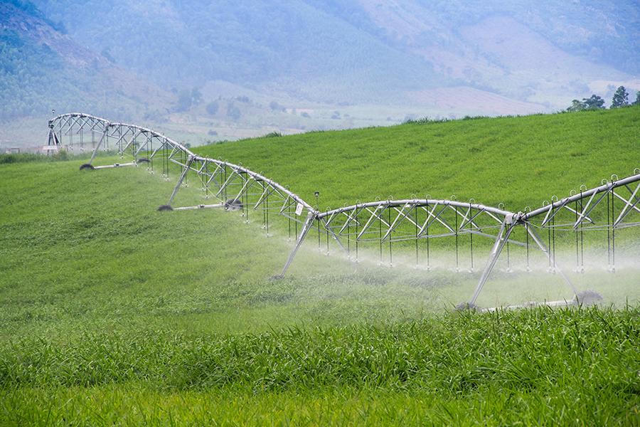 TH đã góp phần thúc đẩy phát triển nông nghiệp công nghệ cao tại Việt Nam.
