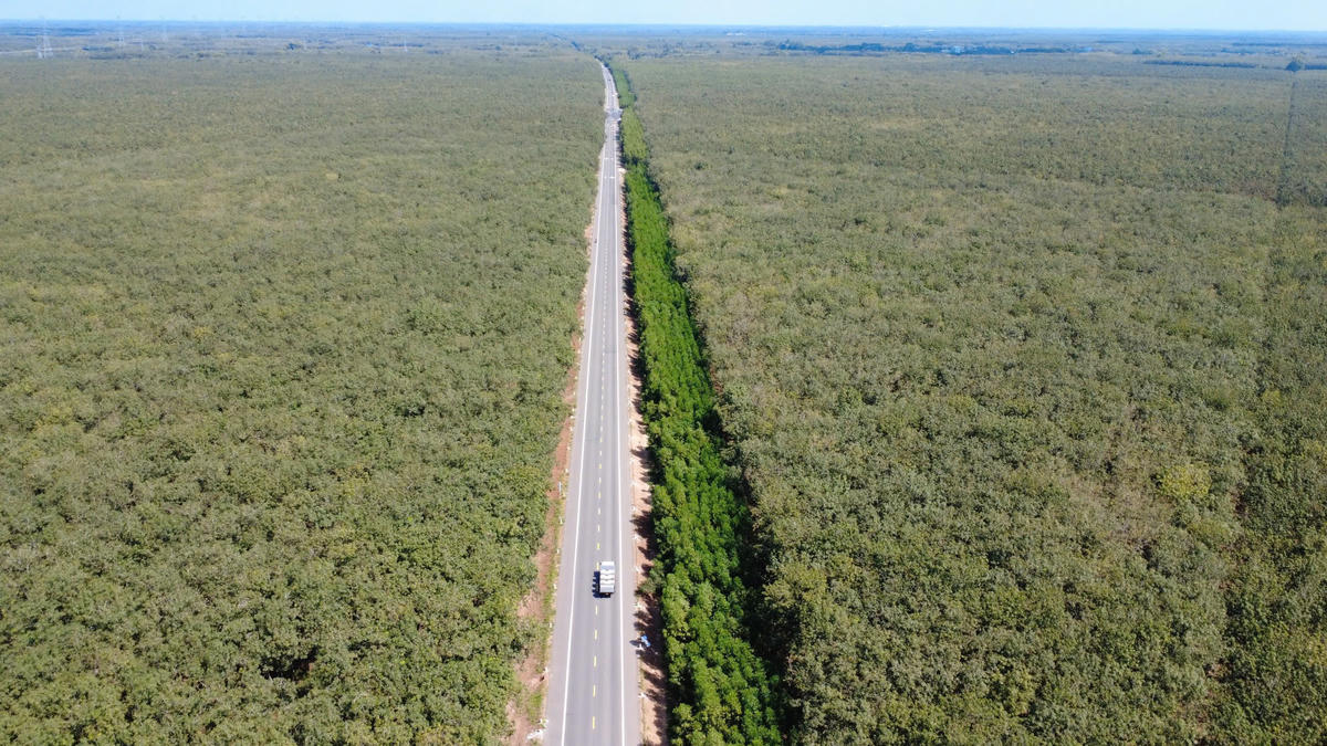 Đường Đức Hoà-Chơn Thành đi qua nhiều rừng cao su, nằm ở phía Tây của TP Hồ Chí Minh, đi qua các xã như Dầu Tiếng, Thanh An hay Chơn Thành (tỉnh Đồng Nai). Ảnh: Đ.Xá.