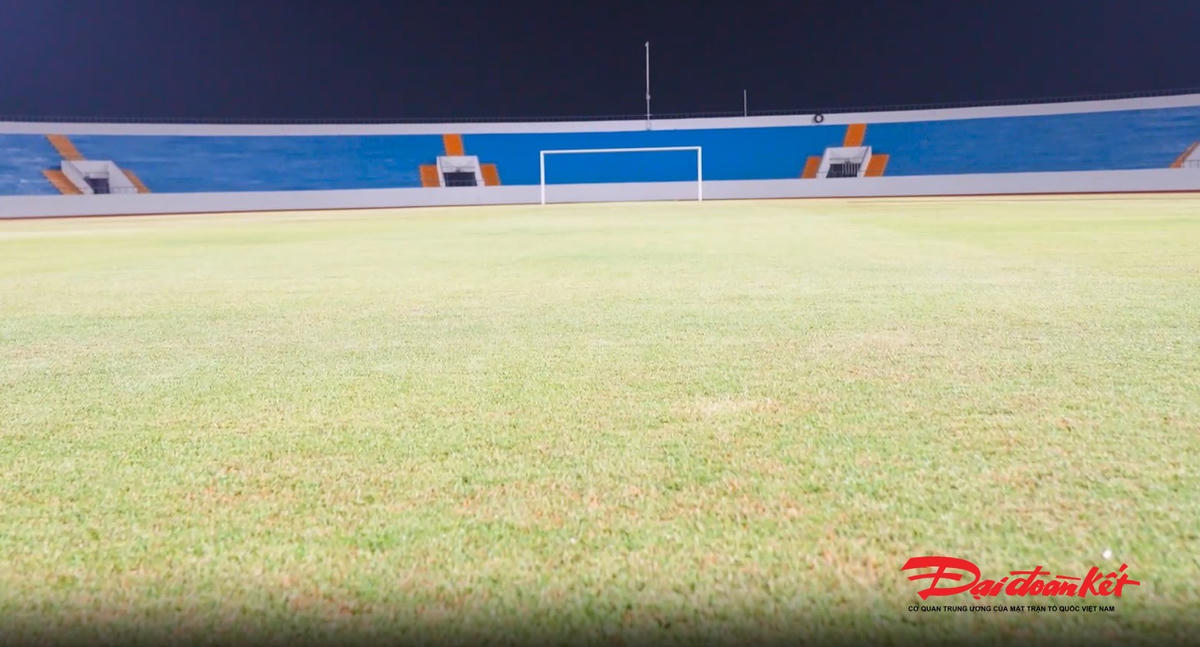Mặt cỏ tiêu chuẩn thi đấu bóng đá quốc tế. Ảnh: Toán Nguyễn.