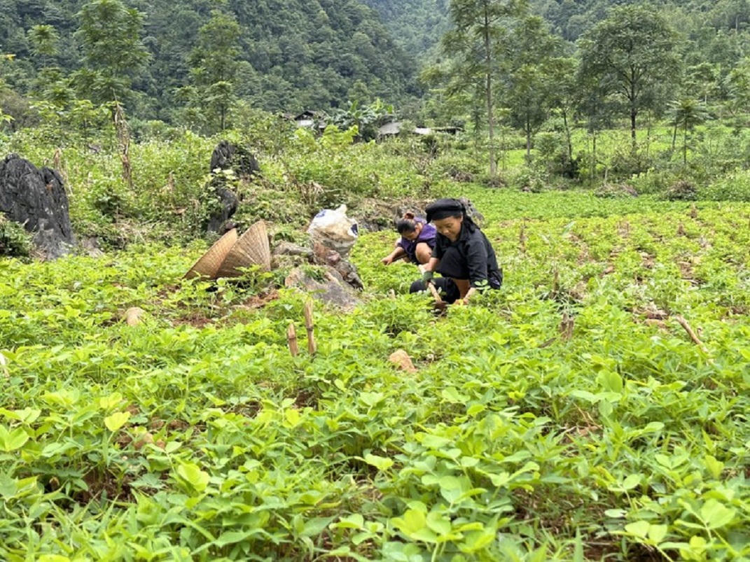 Kinh tế phát triển từ Chương trình Mục tiêu quốc gia 1719