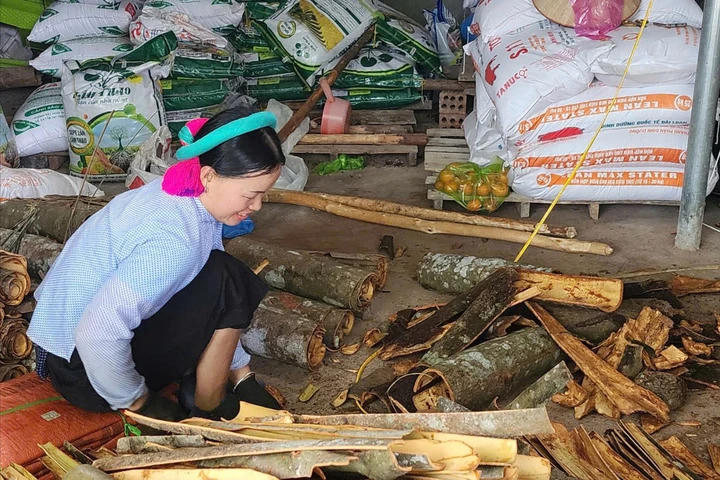 Các mô hình sản xuất gắn với bảo vệ môi trường, sử dụng tiết kiệm tài nguyên và thích ứng biến đổi khí hậu sẽ được ưu tiên. Ảnh: Bộ KHCN
