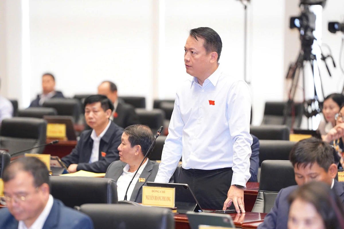 Đại biểu Nguyễn Hoàng Phương chất vấn tại hội trường. Ảnh: ĐT.