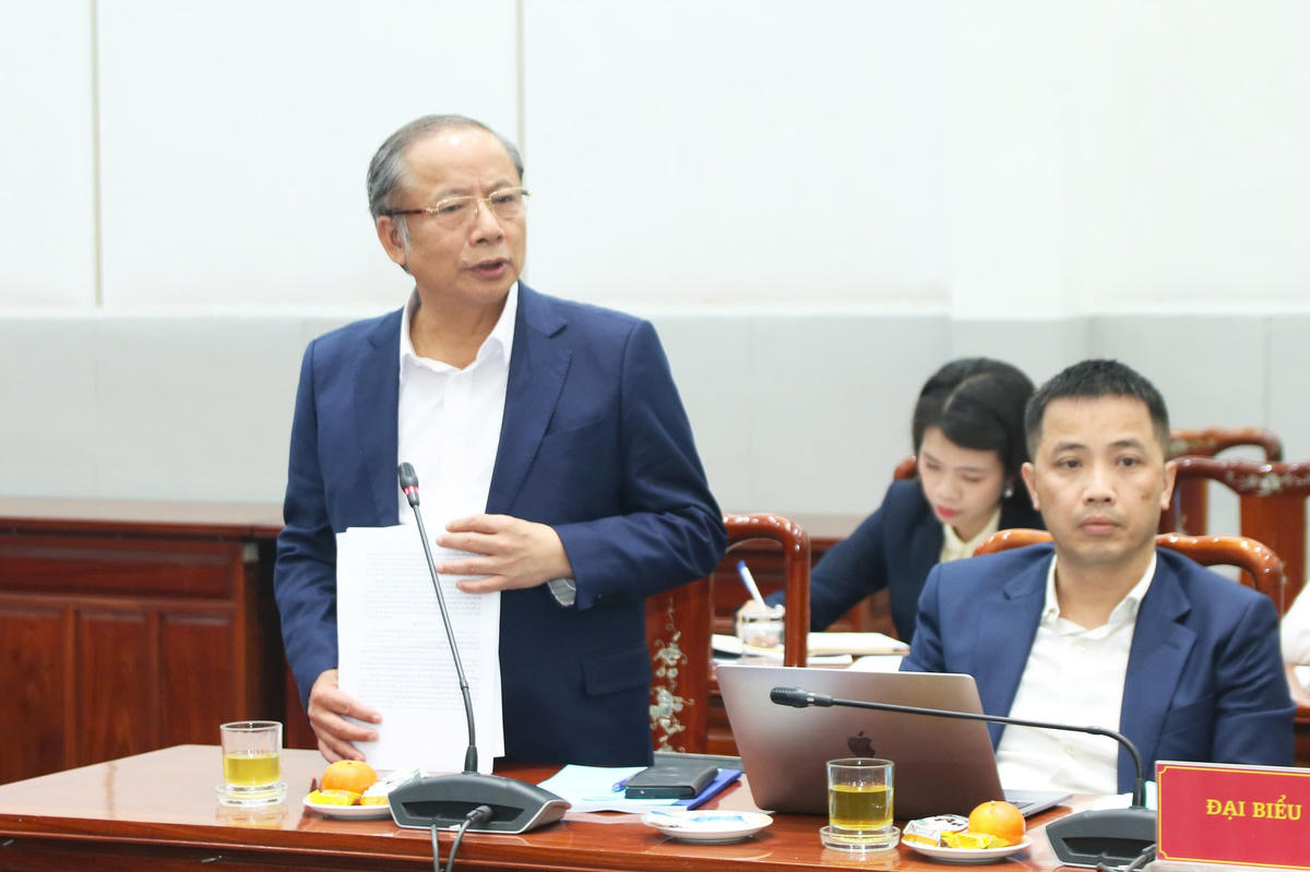 TS Nguyễn Văn Thân, Chủ tịch Hiệp hội Doanh nghiệp nhỏ và vừa Việt Nam&nbsp;phát biểu tại Hội thảo.