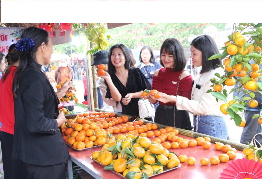 Các gian hàng bán cam tại lễ hội thu hút đông du khách thưởng thức và mua về làm quà. Ảnh: Nguyễn Dung.