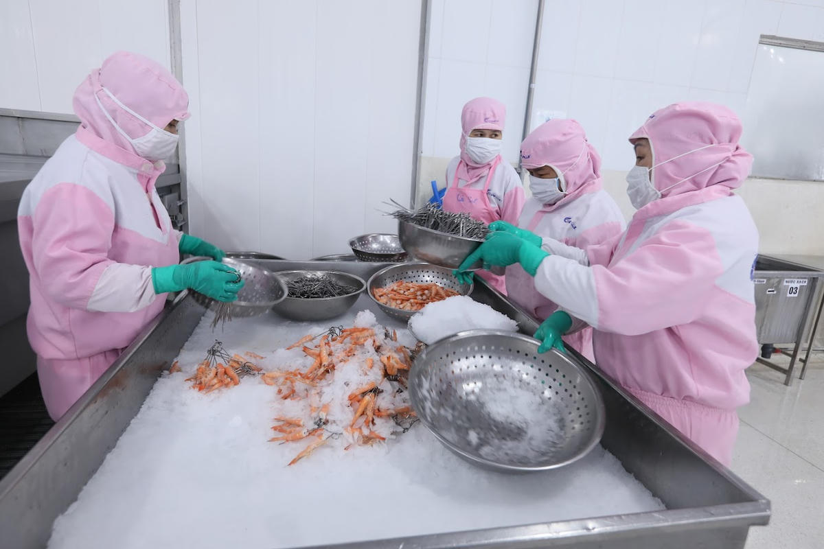 Ngành tôm đối diện nhiều áp lực