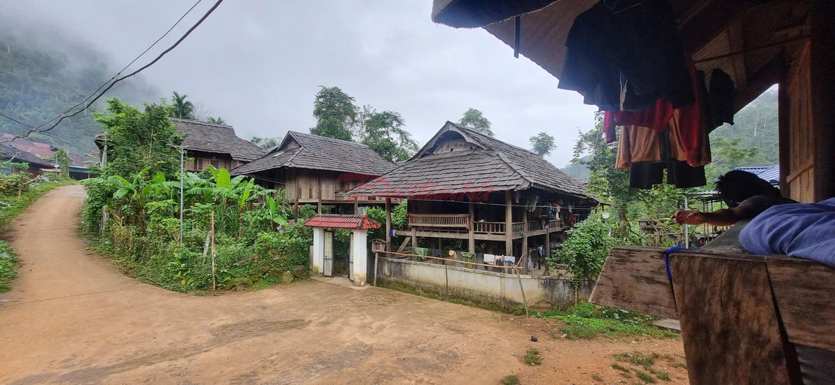 Làng thái cổ Mường Đán hiện có&nbsp;gần 70 căn nhà cổ vẫn giữ nguyên nét truyền thống của người Thái cổ. Ảnh: ĐB