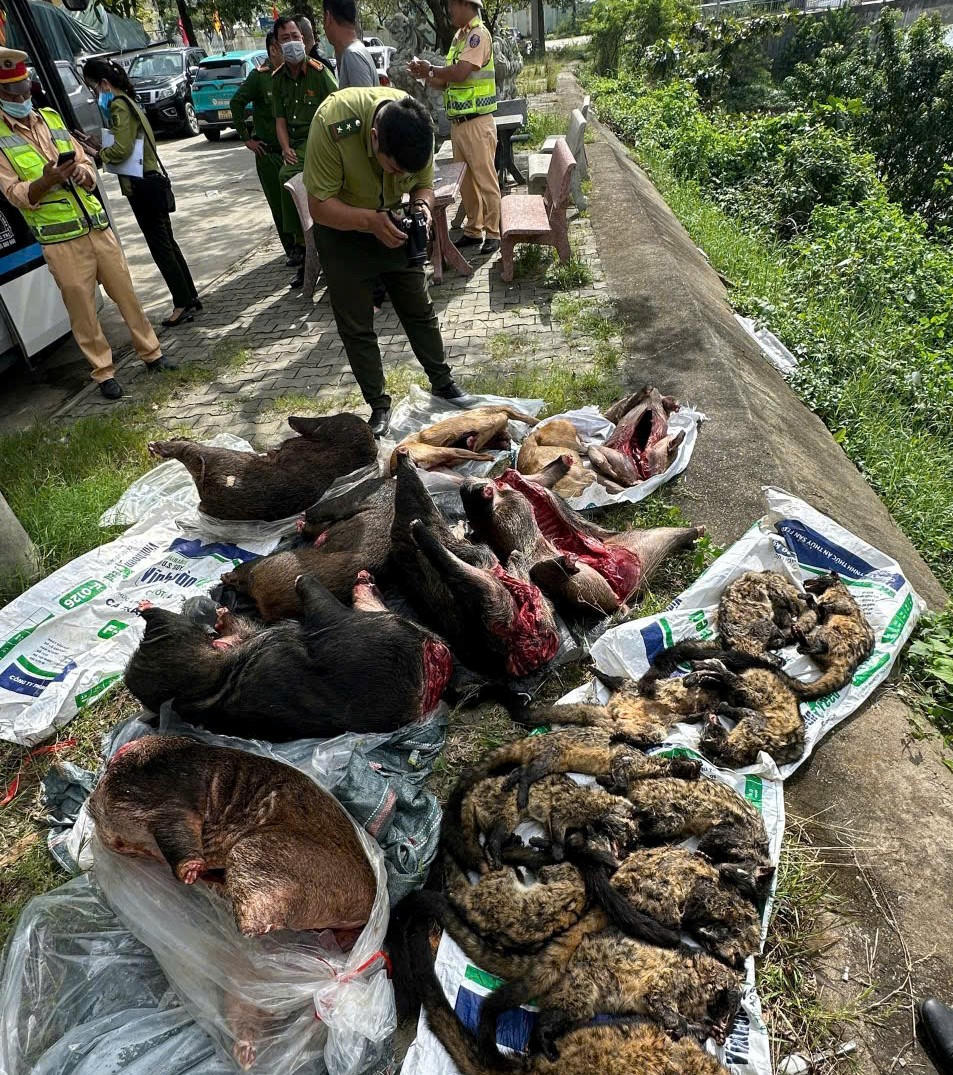 Khám nghiệm trường số lượng động vật trên xe&nbsp;BKS: 74H-010.xx. Ảnh: CV.