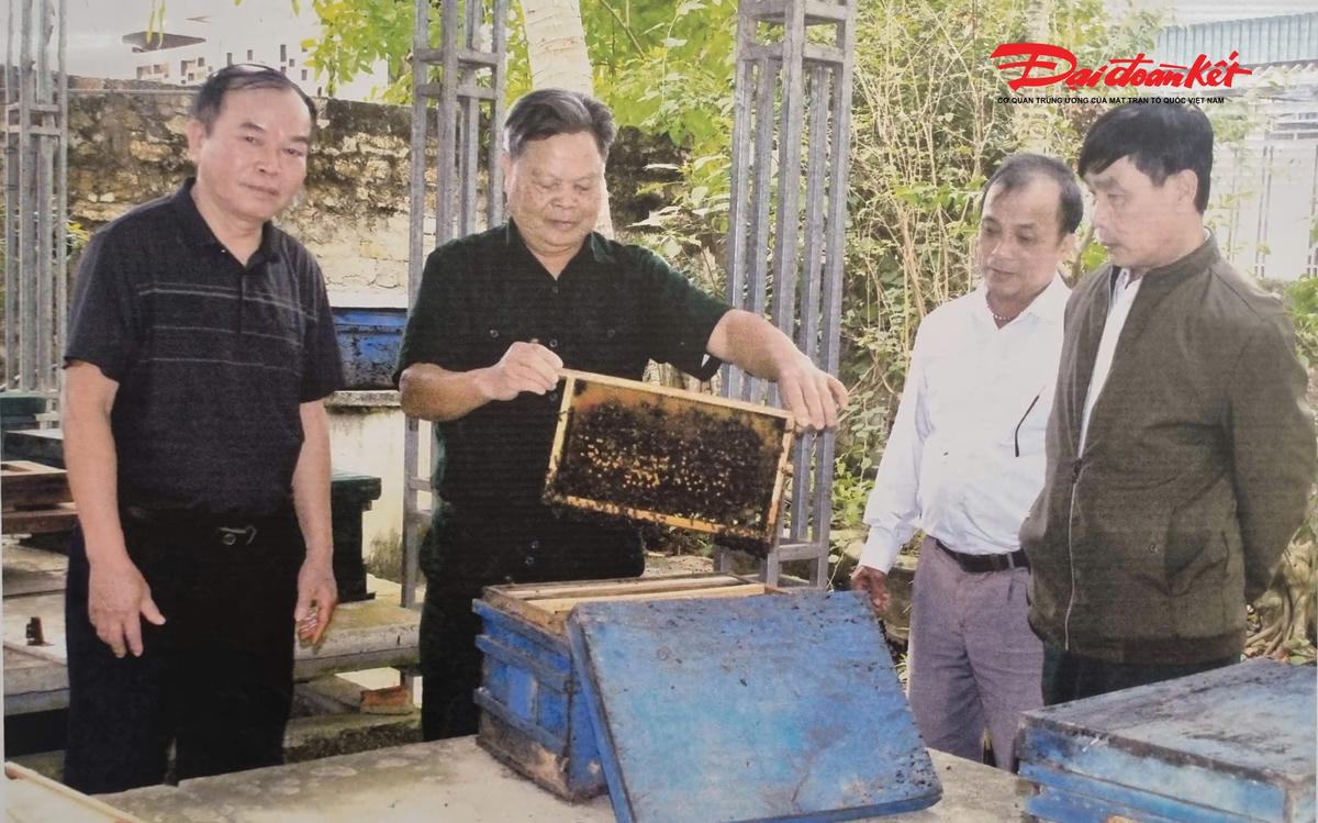 Mô hình nuôi ong lấy mật của Cựu chiến xã Tam Hợp (Nghệ An). Ảnh: ĐB.