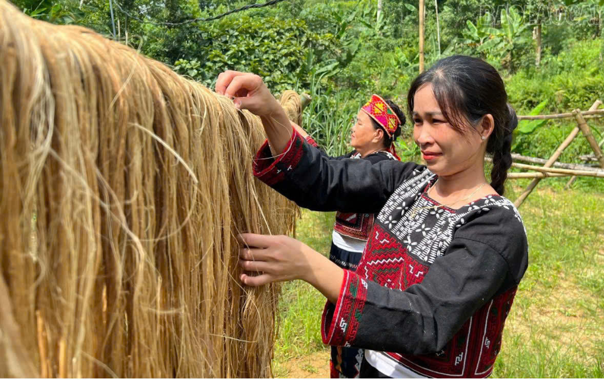 Làm giàu từ thân cây chuối đang là hướng phát triển kinh tế mới với người dân xã Bảo Hà. Ảnh: Vân Thảo