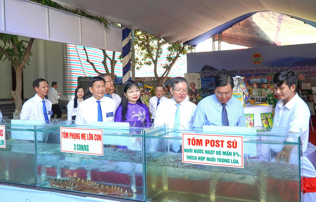 Đại biểu tham quan gian hàng trưng bày sản phẩm của các cấp Hội Nông dân. Ảnh Nguyễn Minh.