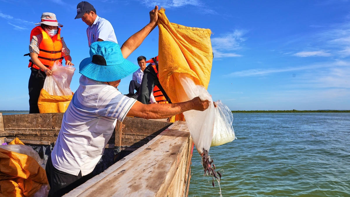 Hồ Dầu Tiếng bị suy giảm nguồn thuỷ sản tự nhiên do đánh bắt, khai thác trái phép... Ảnh: Đ.X.