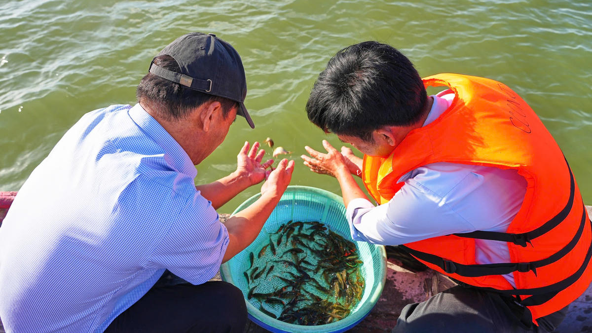 Tỉnh Tây Ninh tổ chức thả cá giống xuống hồ Dầu Tiếng. Ảnh: Đ.X.