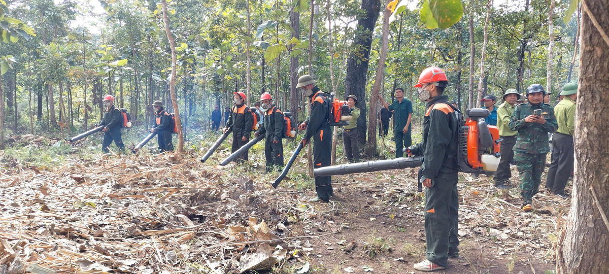 Buổi diễn tập được tổ chức tại tiểu khu 462, với sự tham gia của 277 người đến từ nhiều lực lượng. Ảnh:VQG.