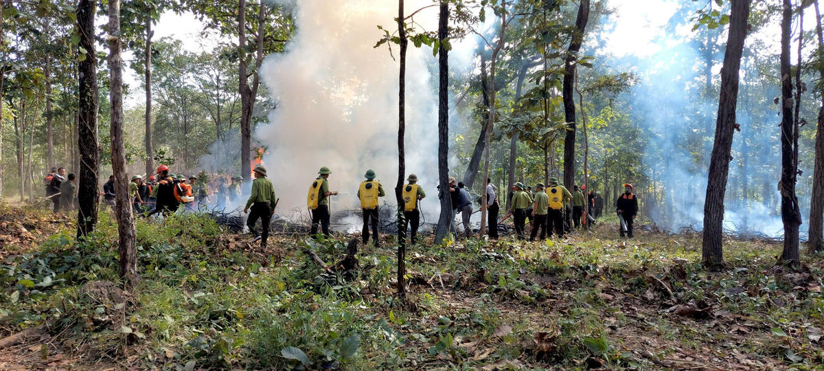 Chủ động diễn tập hôm nay chính là hành động thiết thực để giữ màu xanh Yok Đôn ngày mai. Ảnh: VQG.