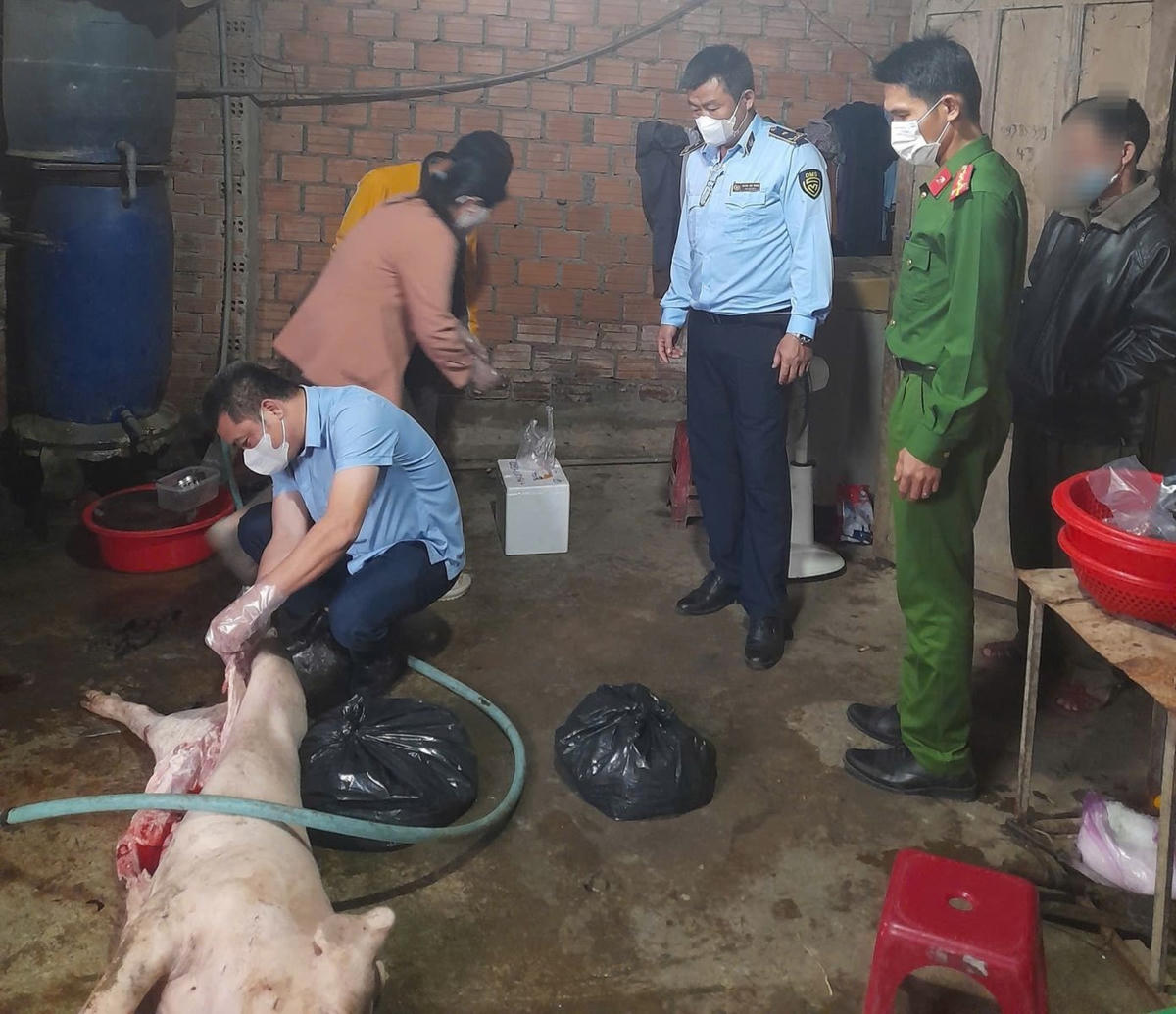 Hiện trường vụ giết mổ heo chết tại nhà ông H.V.C. Ảnh: CA Quảng Ngãi.