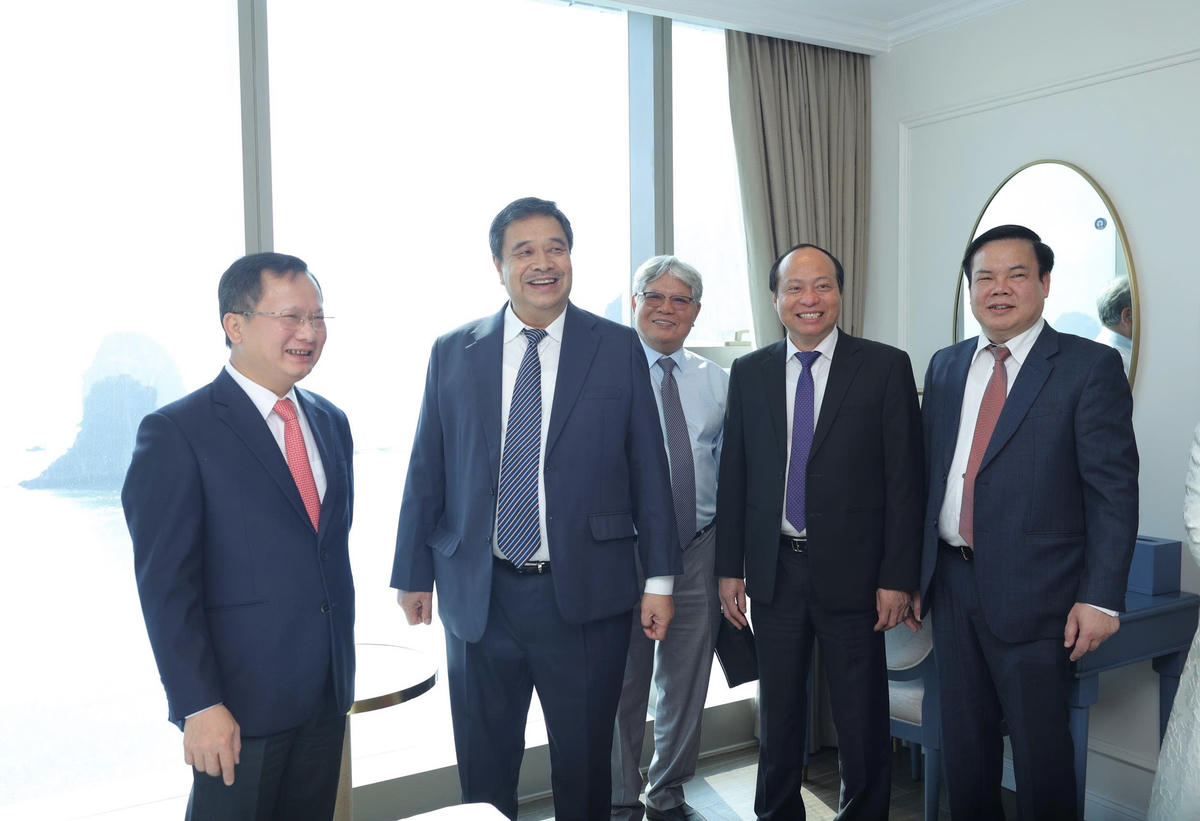 Các đại biểu đi tham quan dự án.