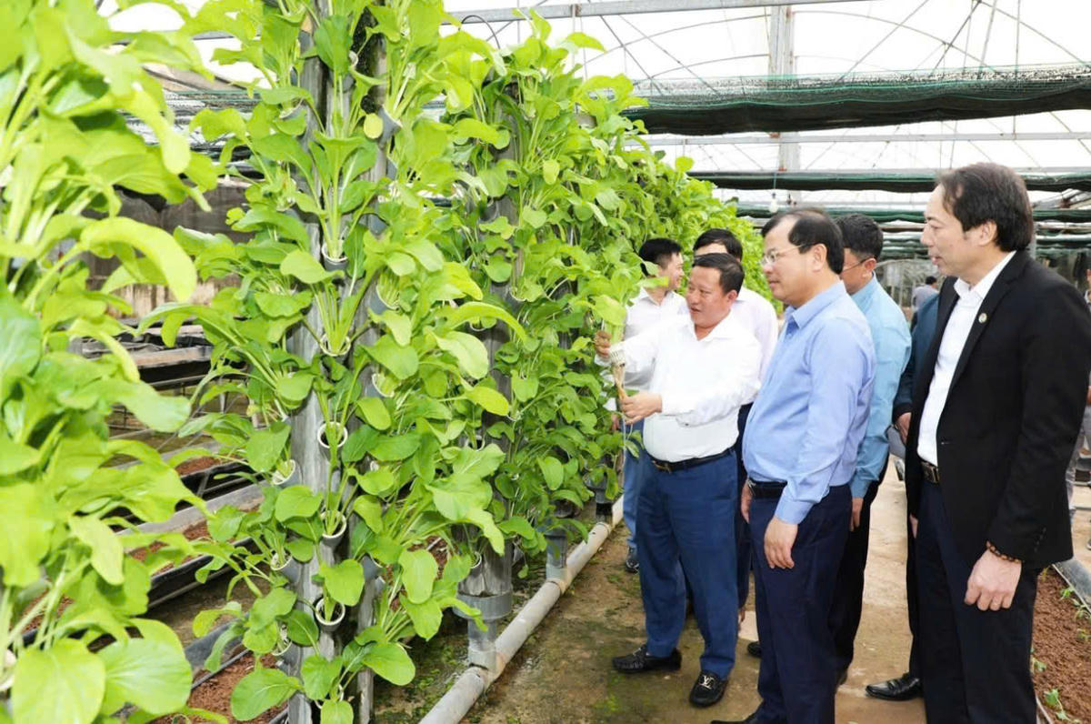 Mô hình nông nghiệp công nghệ cao của người dân Bắc Ninh (Ảnh HTX Bắc Ninh).