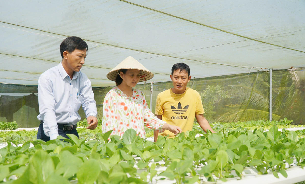 Mô hình “Rau thủy canh” của gia đình bà Nguyễn Thị Cẩm Nhung (giữa) ở khu vực 16, phường Sóc Trăng mang lại hiệu quả kinh tế cao.