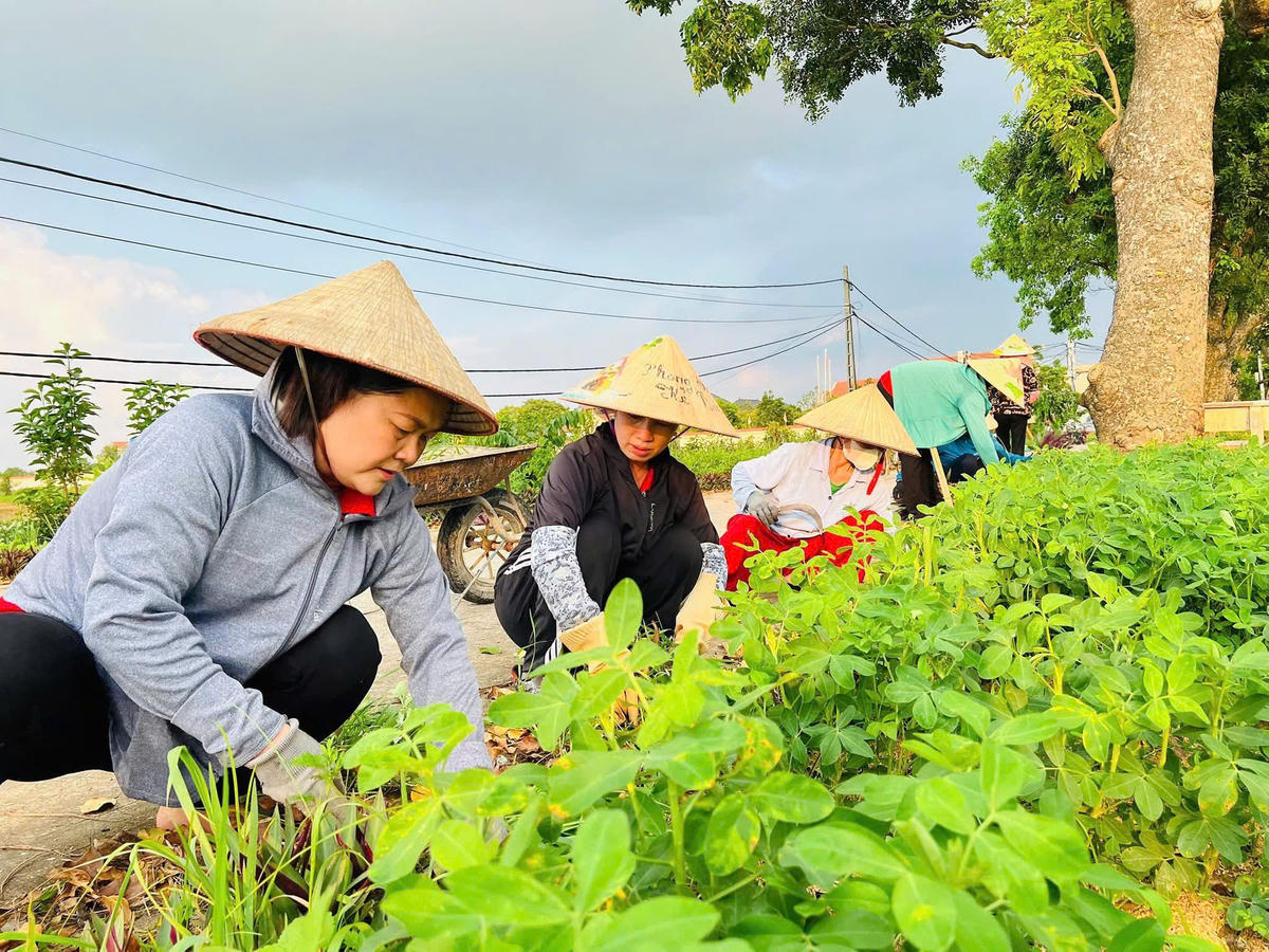 Nhờ MTTQ Việt Nam các cấp làm tốt công tác tuyên truyền, vận động, diện mạo nông thôn mới ở các làng quê Bắc Ninh ngày càng khởi sắc, đời sống người dân được nâng cao rõ rệt.