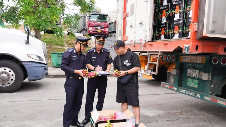 Đảm bảo thông quan hàng hóa dịp Tết