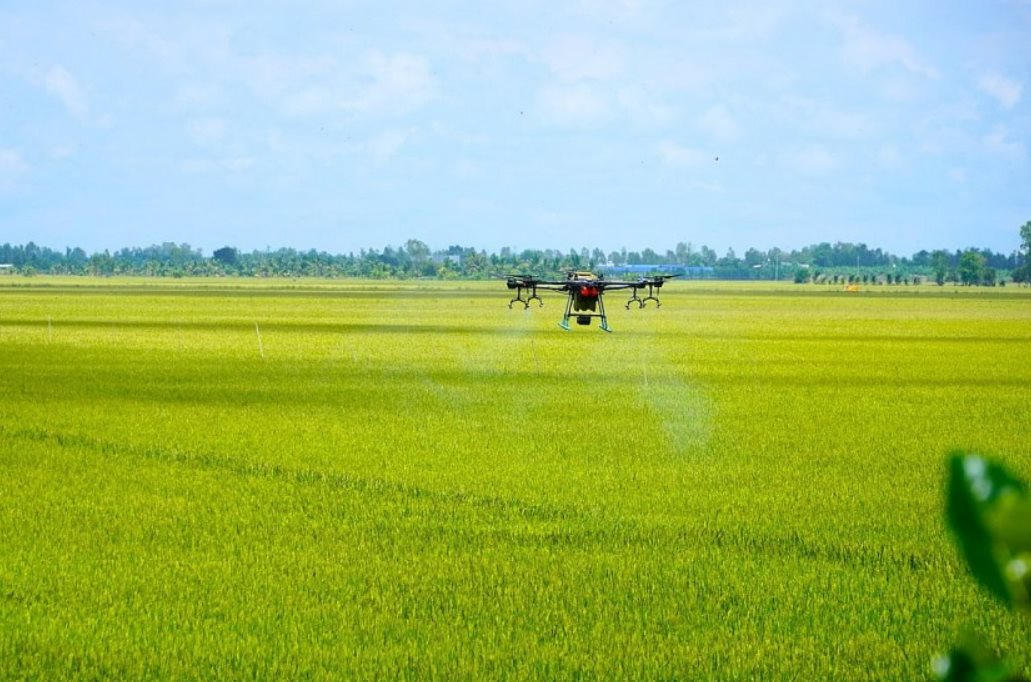 Xây dựng vùng nguyên liệu chuẩn cho nông sản