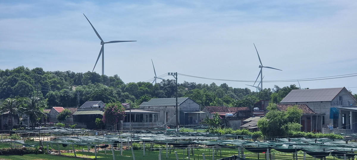 Chiến lược phát triển năng lượng xanh từ hợp tác quốc tế