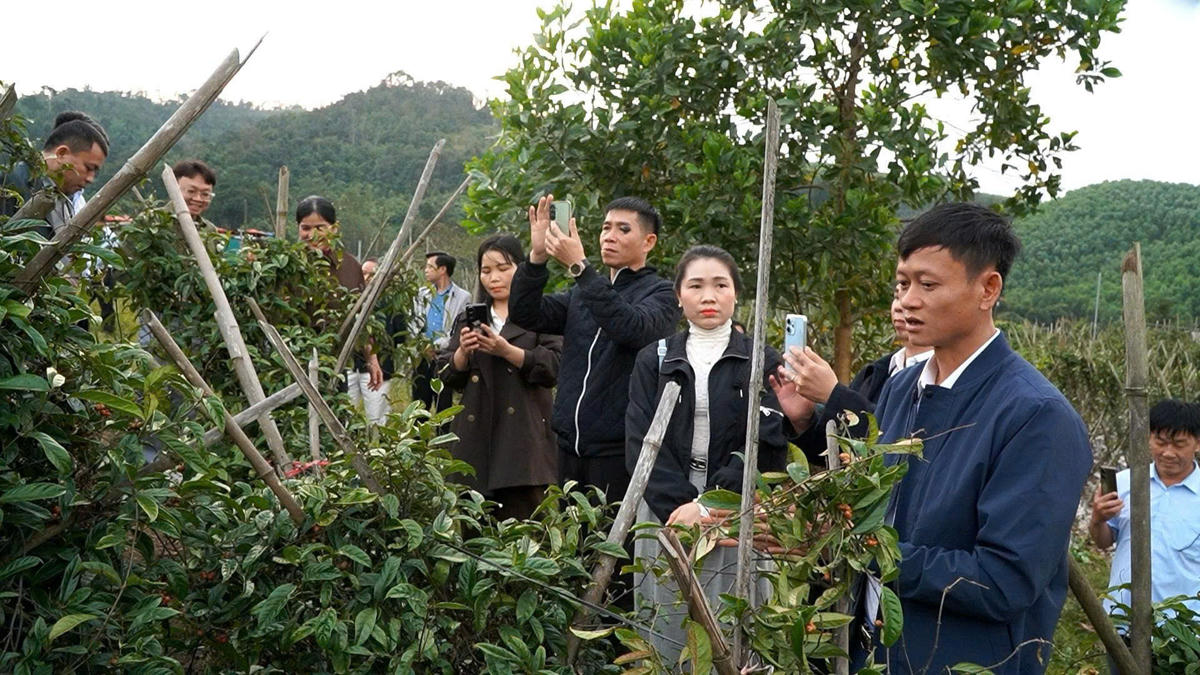 Đoàn công tác xã Linh Sơn học tập mô hình phát triển kinh tế tại tỉnh Quảng Ninh. Ảnh:&nbsp;linhson.thanhhoa.gov.vn