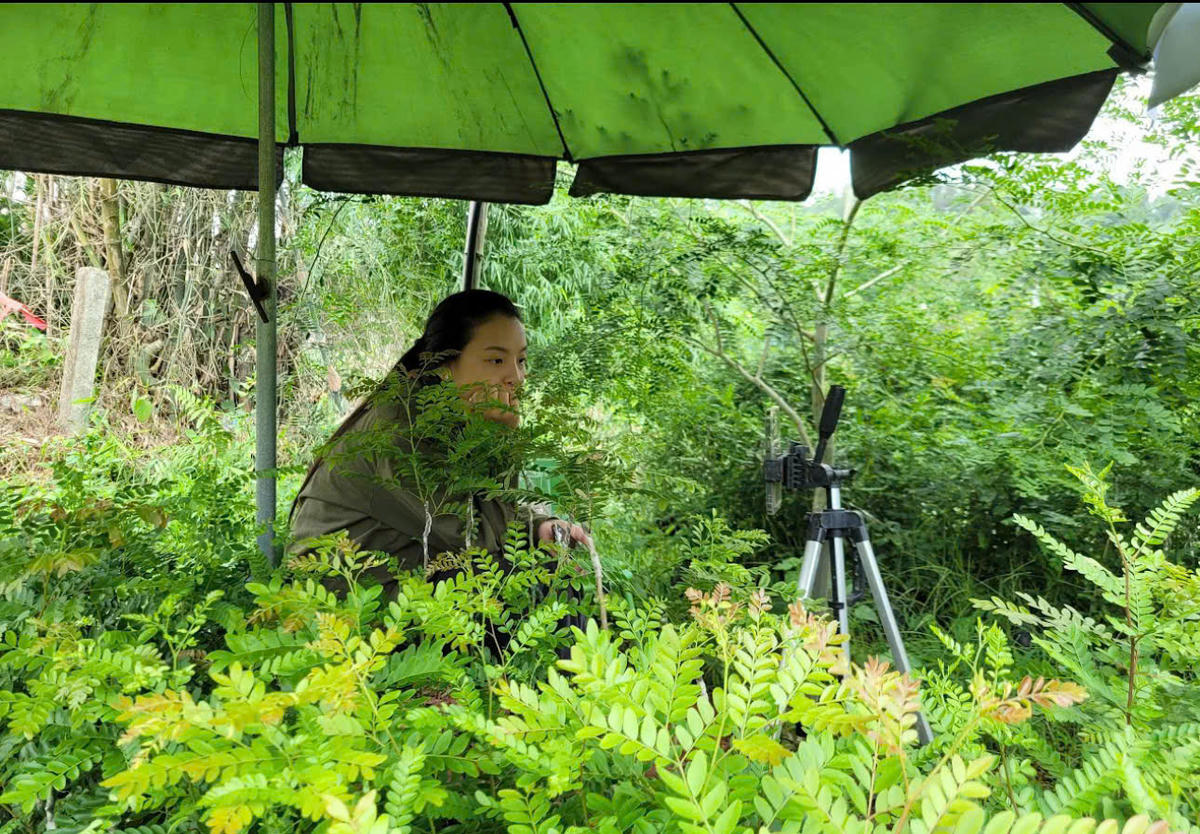 &nbsp; &nbsp;Nhờ phát triển kinh tế số nhiều phụ nữ đã vươn lên thoát nghèo từ chính nghề truyền thống. Ảnh: N.M