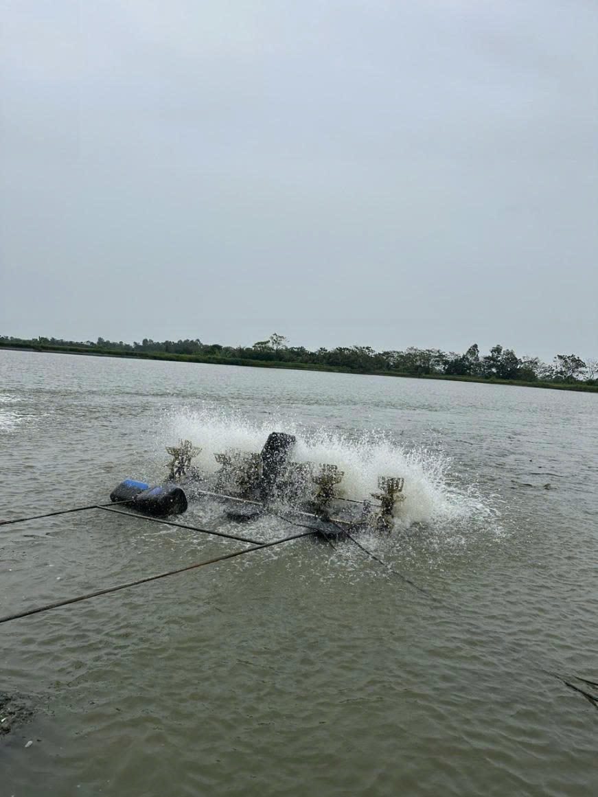 Mô hình phát triển kinh tế, góp phần nâng cao tiêu chí thu nhập trong xây dựng Nông thôn mới.&nbsp;