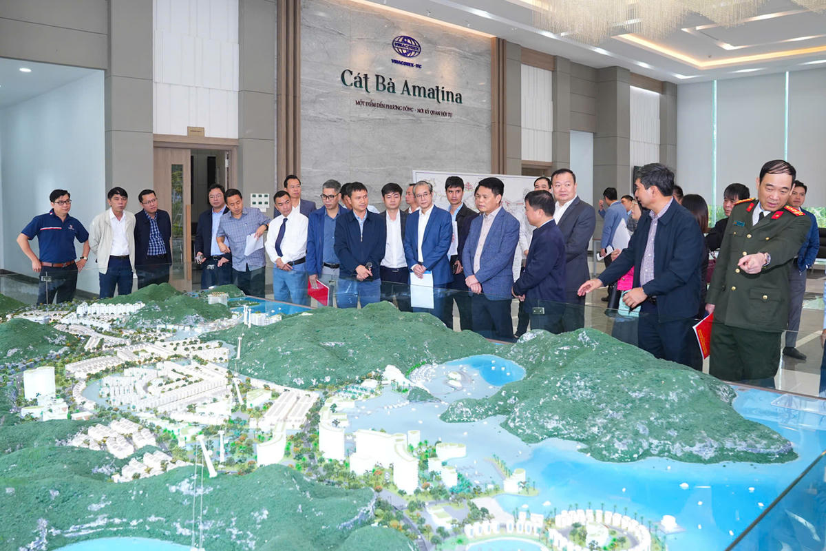 Lãnh đạo TP Hải Phòng kiểm tra Dự án đầu tư Khu đô thị du lịch Cái Giá (Cát Bà Amatina). Ảnh: ĐT.&nbsp;