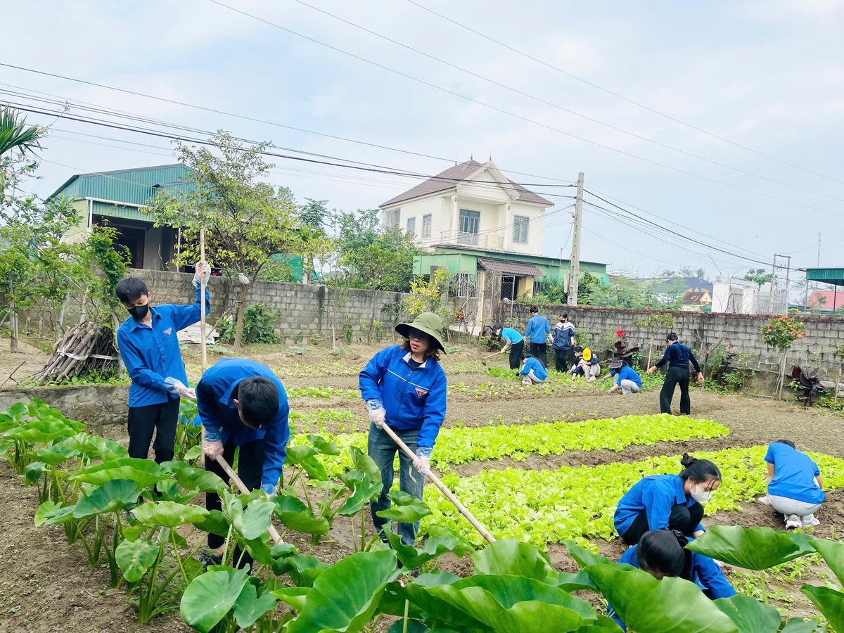 Hà Tĩnh đẩy mạnh các phong trào thi đua