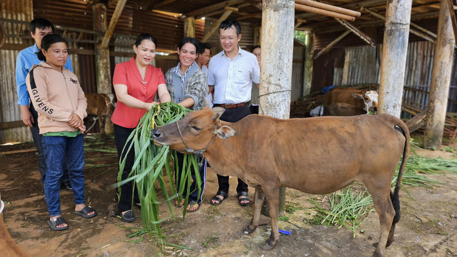 Mặt trận các cấp huy động nguồn lực giúp người nghèo, hộ nghèo, hộ cận nghèo vươn lên thoát nghèo. Ảnh: baogialai.com.vn