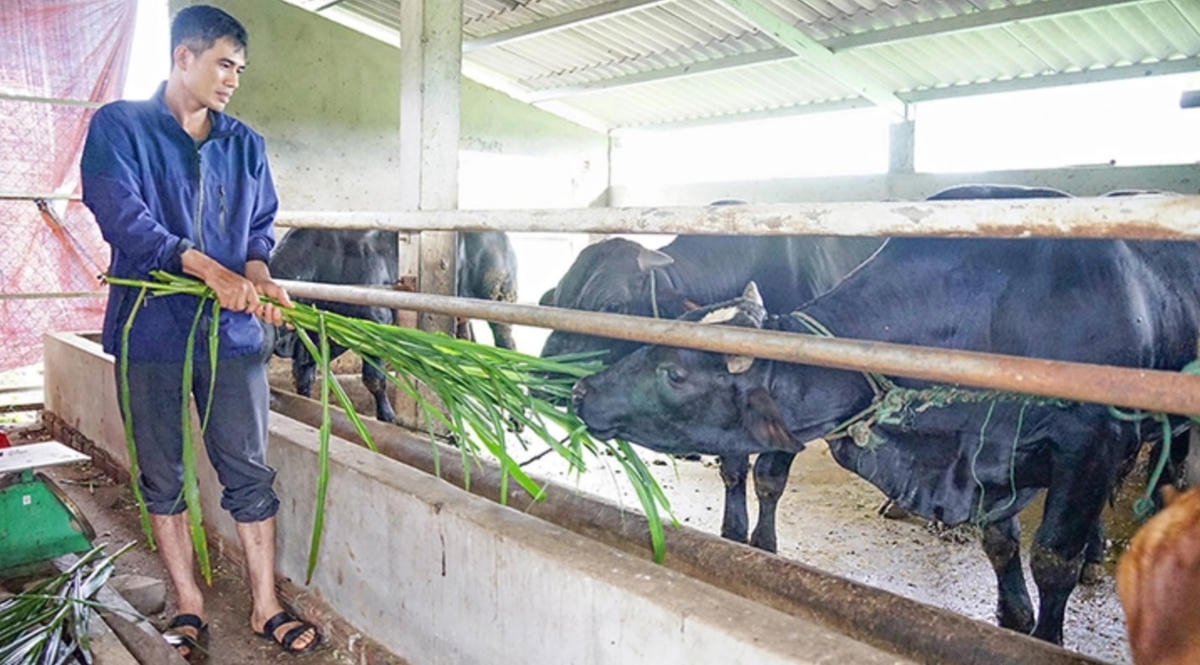 Khi tiếp cận đầy đủ thông tin, người nghèo sẽ tìm hiểu chính sách ưu đãi và kỹ thuật nuôi trồng mới để vươn lên thoát nghèo. Ảnh: mst.gov.vn