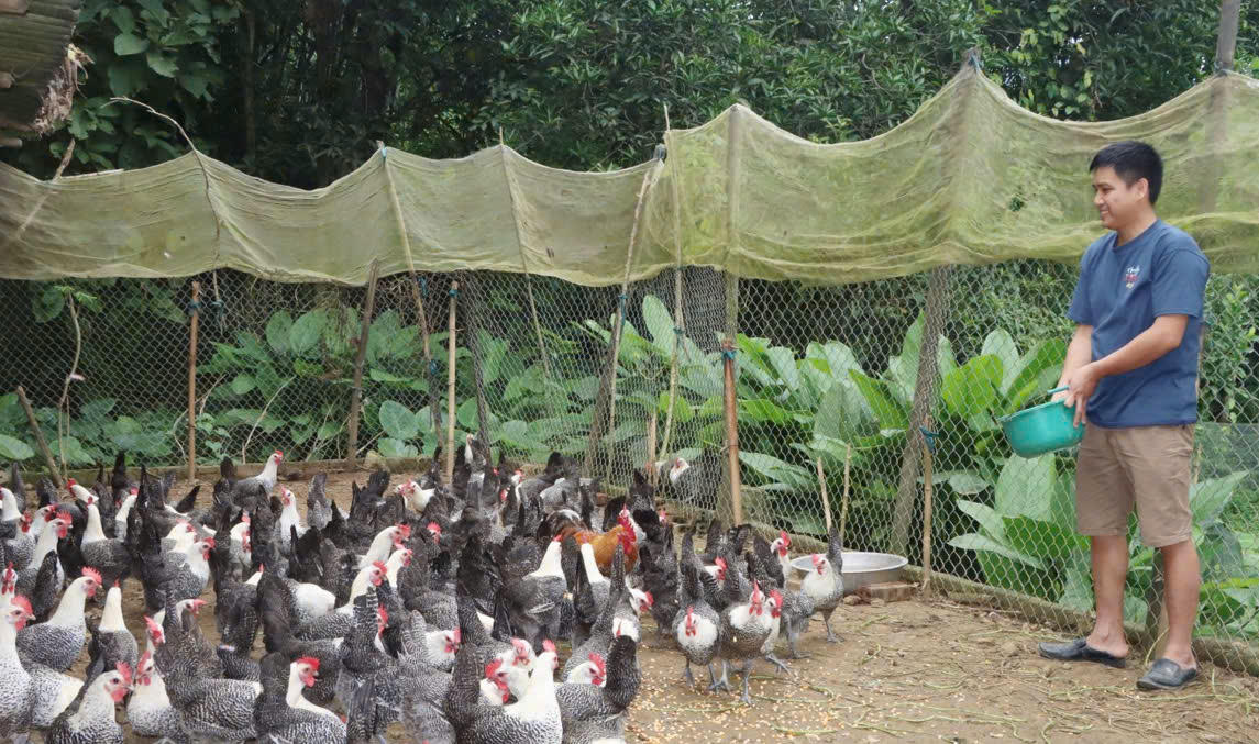 Từ một hộ chăn nuôi nhỏ lẻ, từ khi nắm bắt được thông tin về chủ trương chính sách giảm nghèo của nhà nước,&nbsp;gia đình anh Đinh Văn Nghĩa, bản Chát Mới đã tiếp cận nguồn vốn chính sách để đầu tư xây dựng kiên cố, với 3 dãy chuồng thoáng mát, sân rộng rãi và được quây xung quanh; trừ chi phí thu lãi hơn 250 triệu đồng/năm.