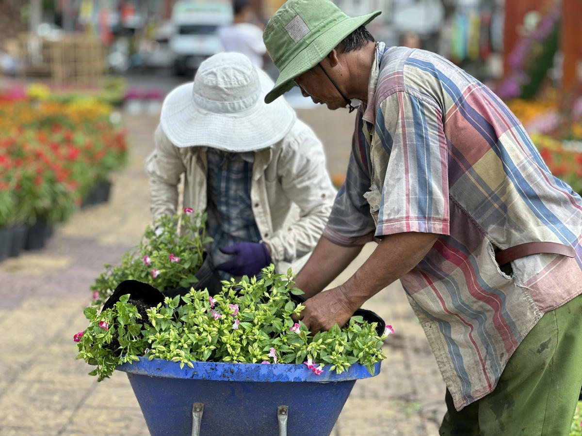 Nông dân nơi thủ phủ hoa miền Tây đang tất bật sản xuất. Ảnh: Trung Ngãi