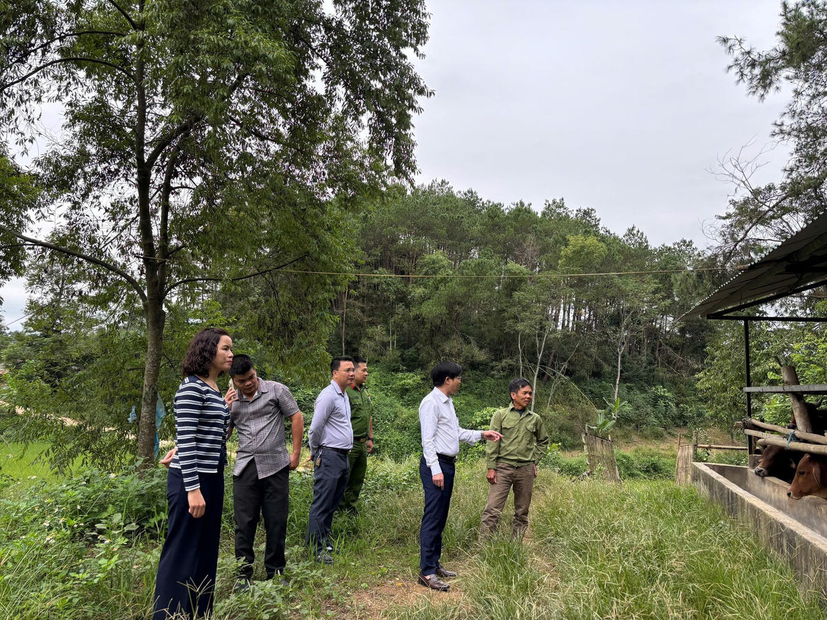 Thụy Hùng (Lạng Sơn): Hiệu quả từ các mô hình giảm nghèo