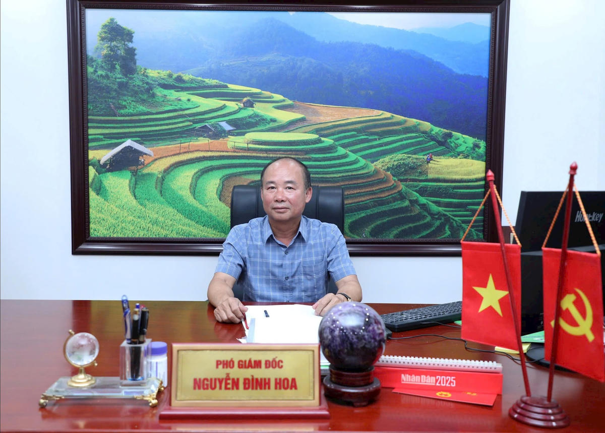 Phó Giám đốc Sở Nông nghiệp và Môi trường Hà Nội Nguyễn Đình Hoa . Ảnh BT