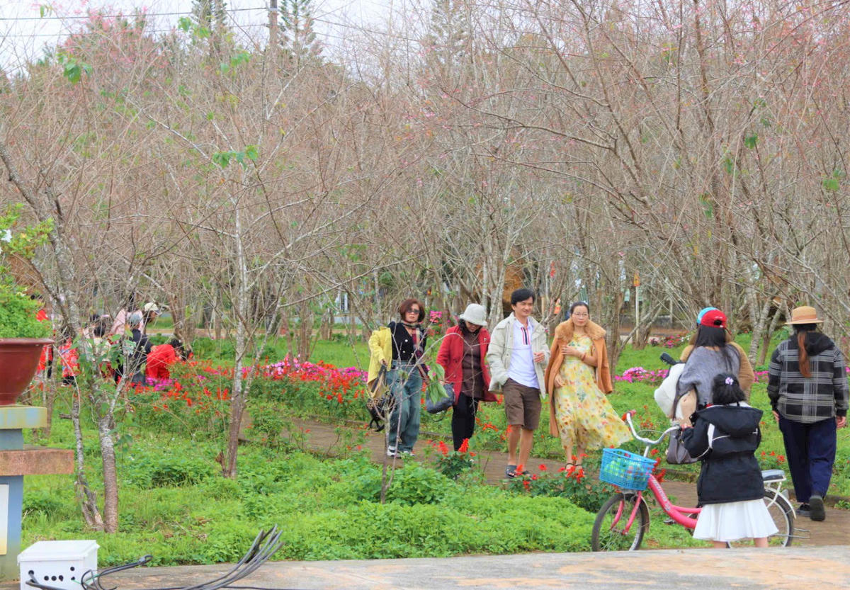 Du khách tham quan ở khu du lịch Măng Đen. Ảnh: CV.