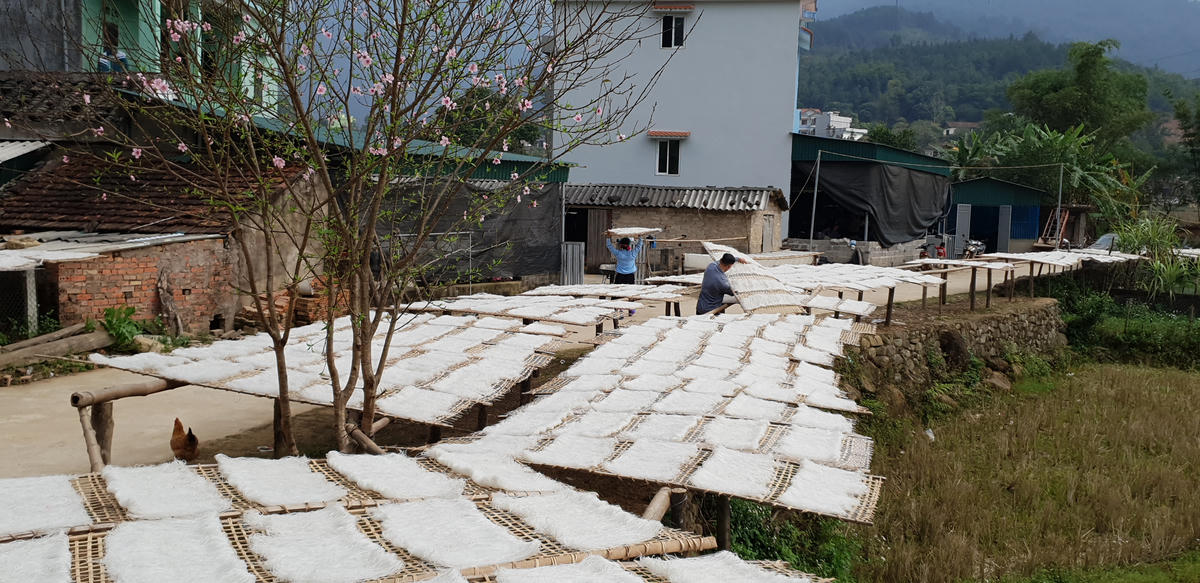 Xem người Sán Chỉ ở Bình Liêu làm miến dong