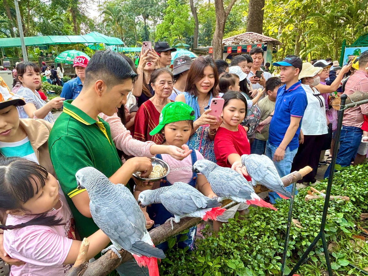 Du khách trải nghiệm các hoạt động tại Thảo Cầm Viên. Ảnh: H.T