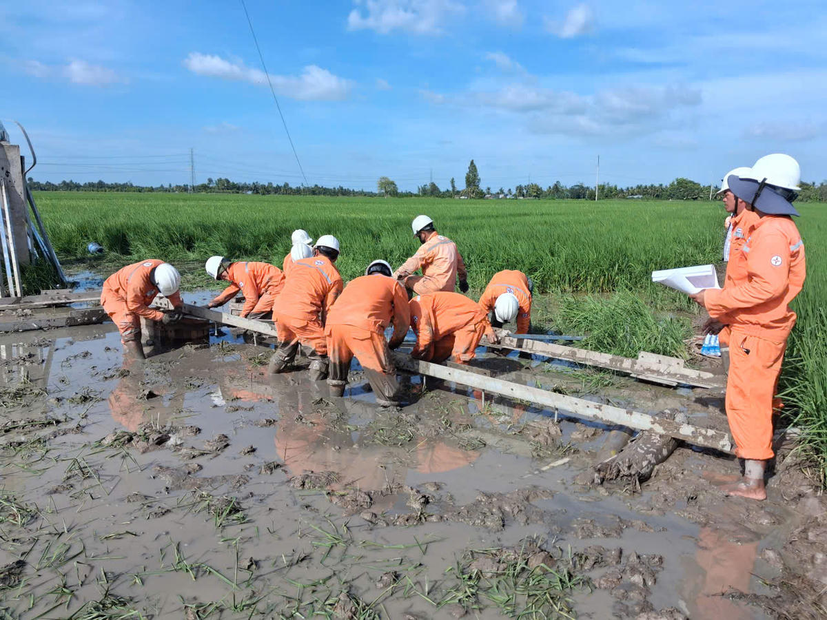 Lực lượng công nhân EVNSPC được điều động chi viện cho các công trình đầu tư xây dựng vào những ngày cuối năm 2025, để đưa các dự án kịp về đích đúng tiến độ