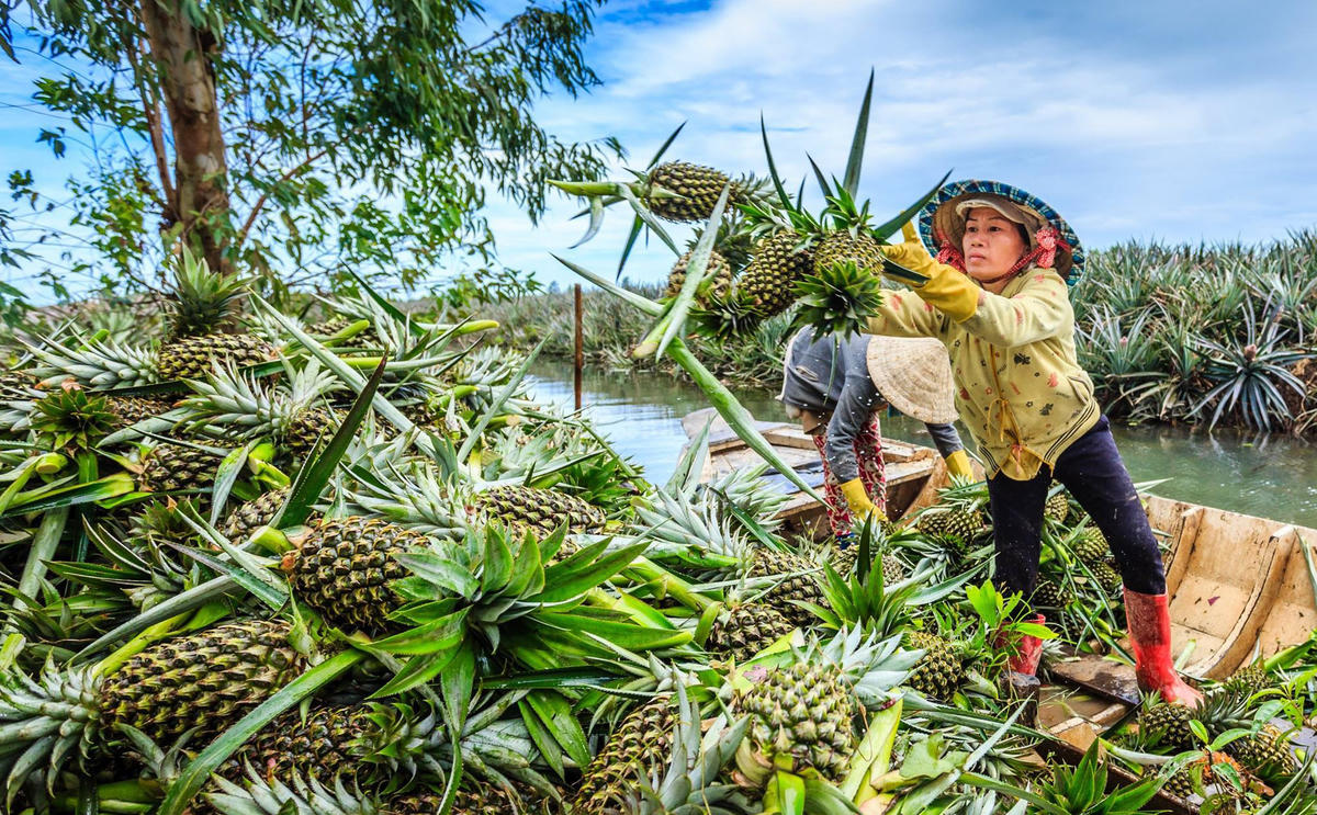 Những hình ảnh lao động được NSNA Lý Anh Lam ghi lại một cách chân thực, thật đẹp.