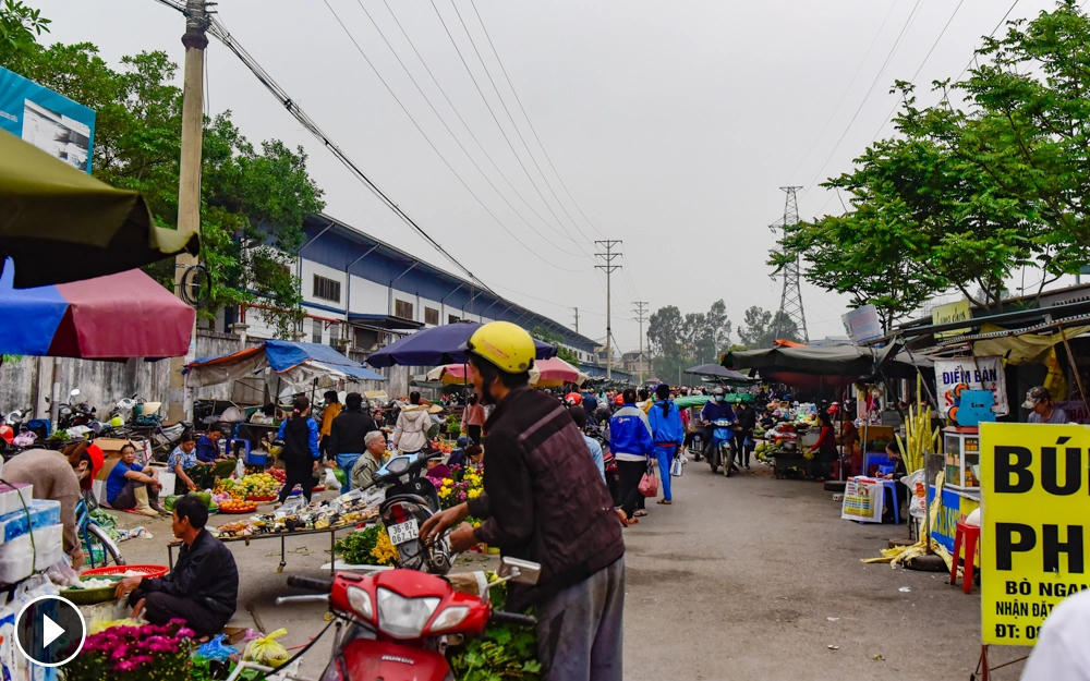 Dù không phải mùa cao điểm nhưng giá rau xanh tăng hơn.

