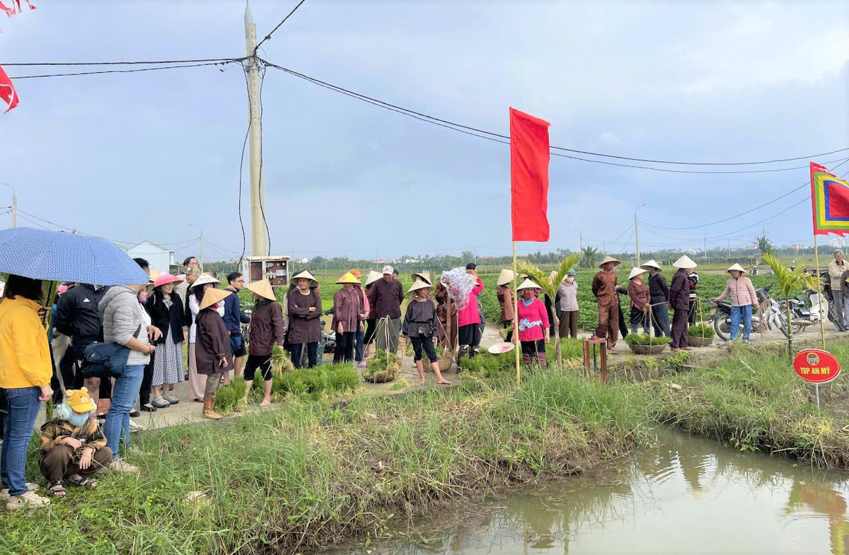 Đông người dân và du khách tham gia Lễ hội xuống đồng Hội An Đông năm 2026. Ảnh: Nguyễn Tín.