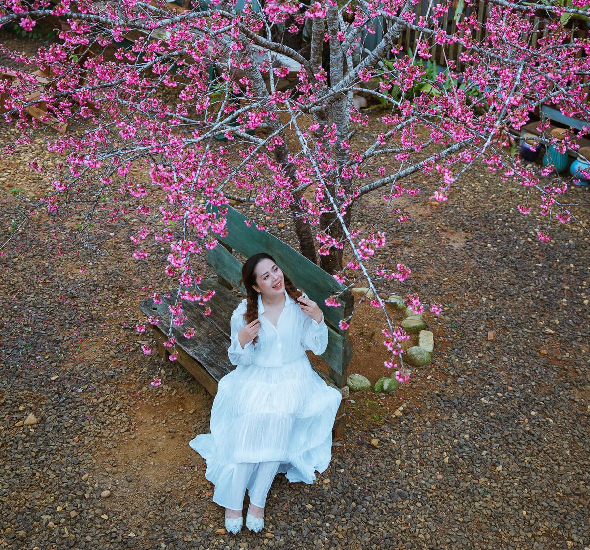 Du khách tham quan, chụp ảnh vườn hoa Anh Đào ở xã Măng Đen. Ảnh: CV.