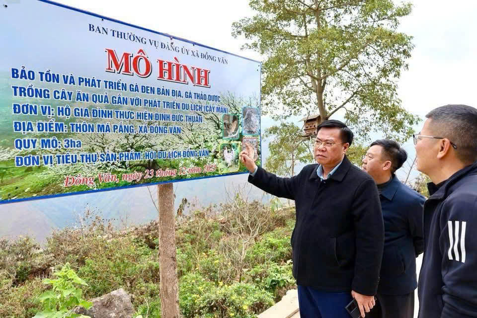 Lãnh đạo xã Đồng Văn tham quan mô hình nuôi gà đen dược liệu. Ảnh: Nguyễn Quân.