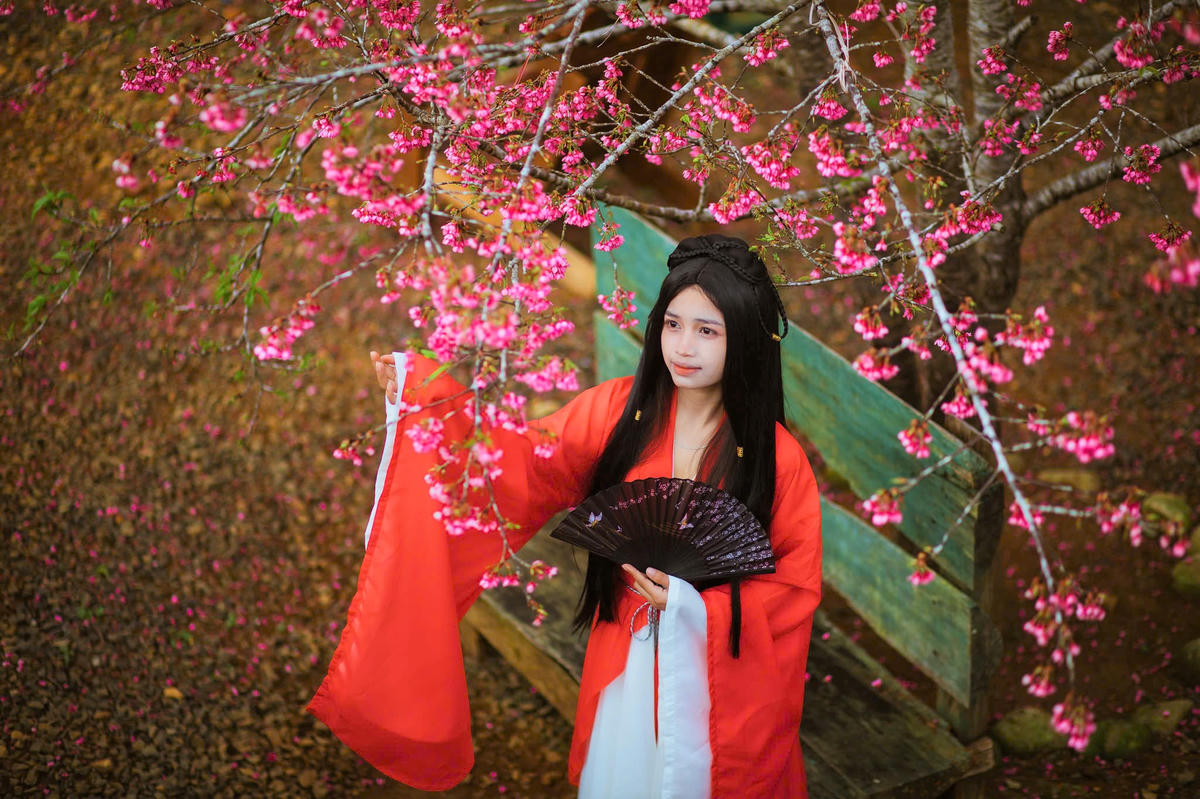 Du khách check in bên hoa Anh Đào ở xã Măng Đen, tỉnh Quảng Ngãi. Ảnh: CV.