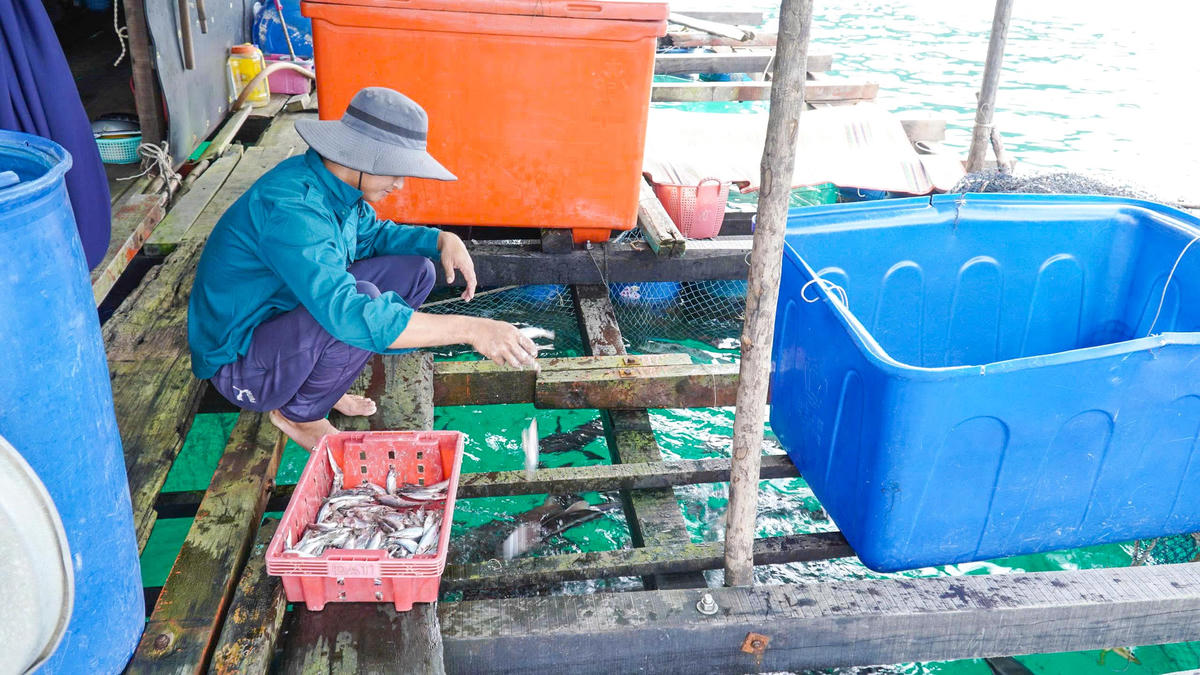 Người dân yên tâm bám đảo, bám biển, vừa phát triển kinh tế, vừa cùng lực lượng chức năng giữ gìn chủ quyền.&nbsp;Ảnh: Phương Vũ.. 