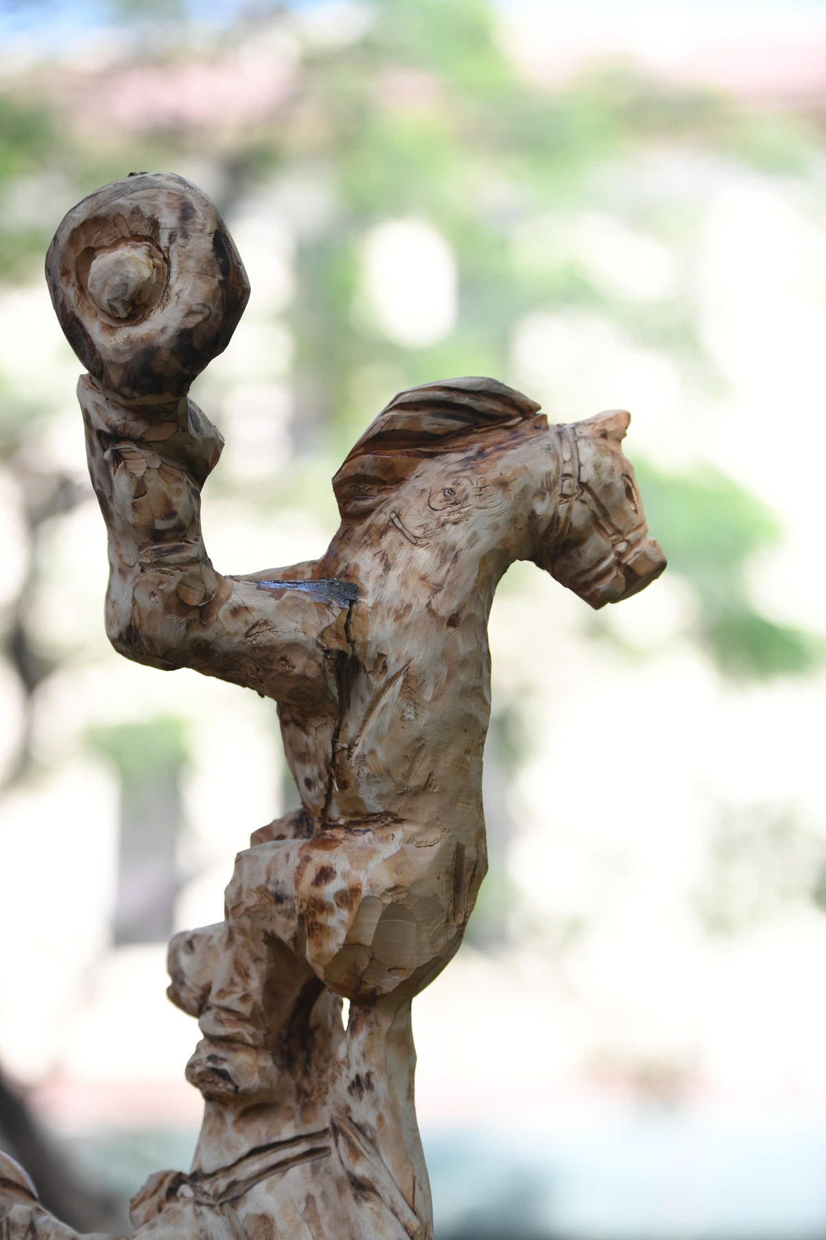 Khai mạc trưng bày "Ngựa về phố"