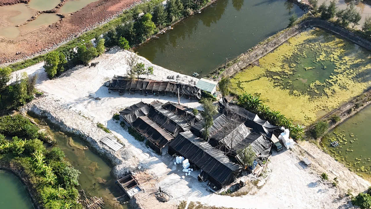 Nhà xưởng sơ chế hàu của ông Đinh Văn Tứ, thôn Xóm Giáo, xã Đầm Hà, tỉnh Quảng Ninh